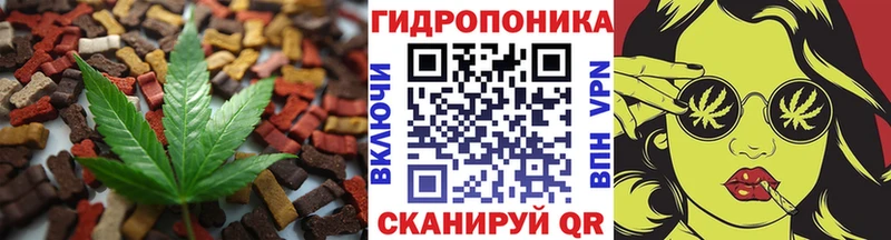 Canna-Cookies марихуана  Купить где  Дмитровск 