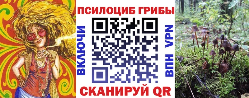 Галлюциногенные грибы GOLDEN TEACHER  Купить закладки  Дмитровск 